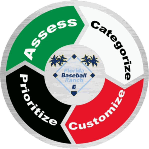 The ACCP wheel: Assess, Categorize, Customize, Prioritize